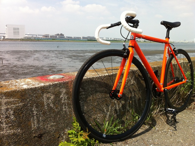 55336dfdf49c2089ea82e5b2f7f5bd